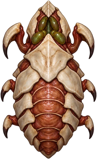 Broodling